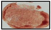 Image of a fingerprint impression technique made when an individual has come into contact with an opaque substance, such as paint, blood, grease, or ink, leaving behind a print made by the substance.