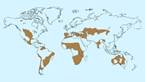 Habitat temperatures vary from negative 40 degrees Fahrenheit in the winter to more than 100 degrees Fahrenheit in the summer. The area has very few trees due to the lack of rainfall, but thick grasses thrive.