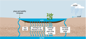 Landscape with a soil layer displayed with an aquifer beneath and a pond-like water source on top. The water source has a tree located within it and shows a clay layer at the bottom. The sky has clouds with rainfall descending towards the soil layer showing runoff into the water source. The soil layer shows the various ways water can move through the soil to the aquifer.